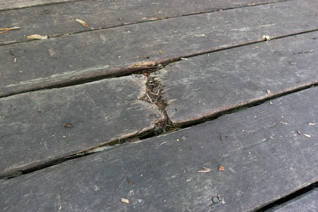 rotting wood deck paneling