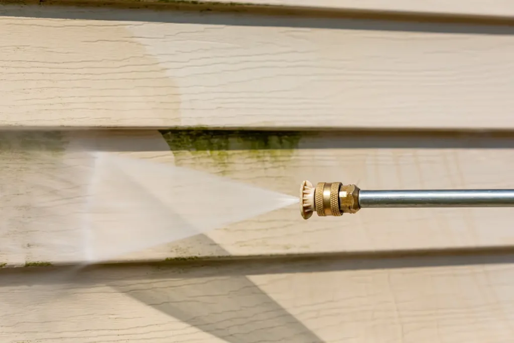 pressure washing mold