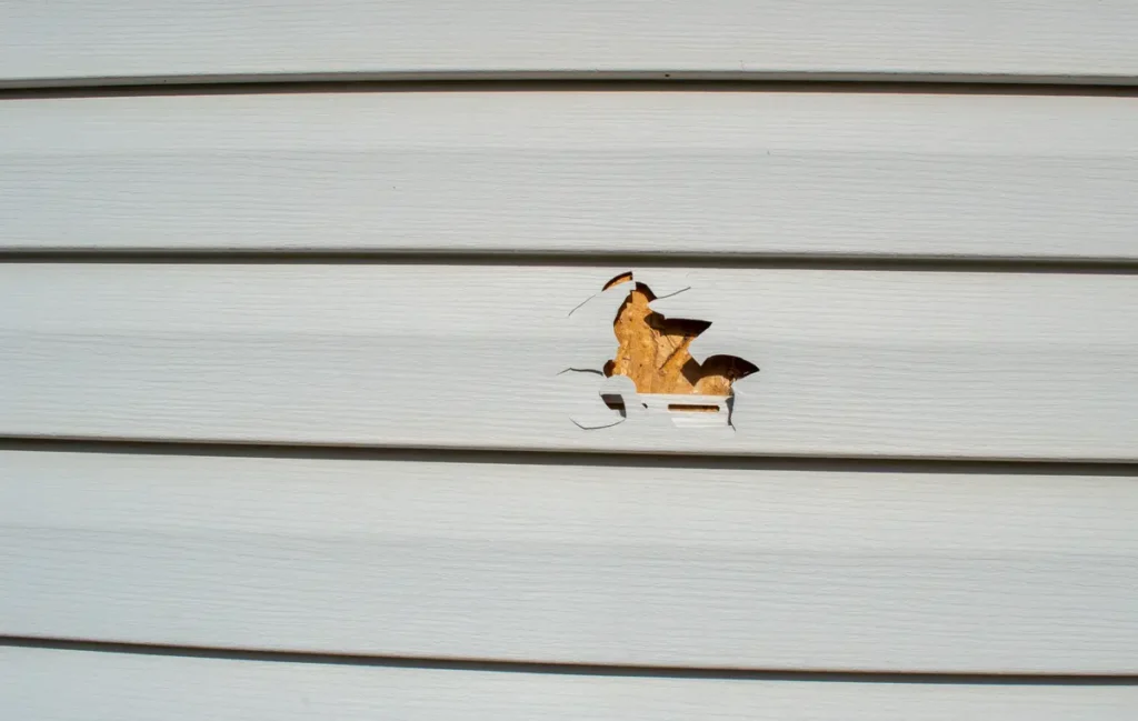 damaged siding