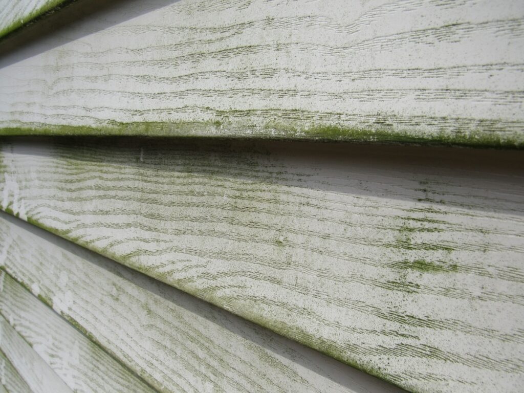 Close-up of white house weatherproof siding with horizontal panels, showing streaks of green mildew and dirt accumulated along the edges and textured wood grain pattern on the surface.
