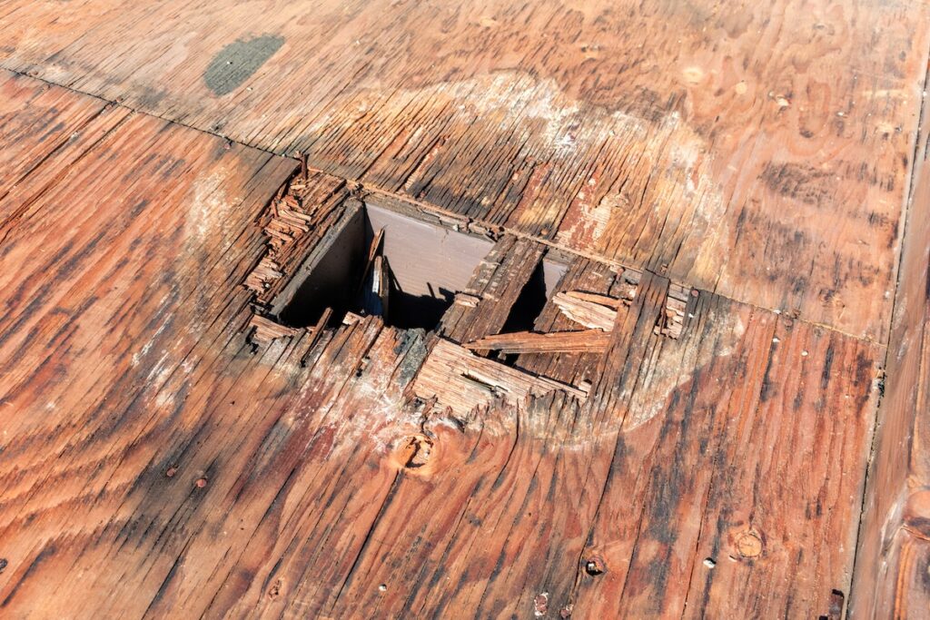 Plywood decking damage and water stains from rain water standing, leaking on roof sheathing near downspout hole. Flat roof inspection, repair and replacement project in progress.
