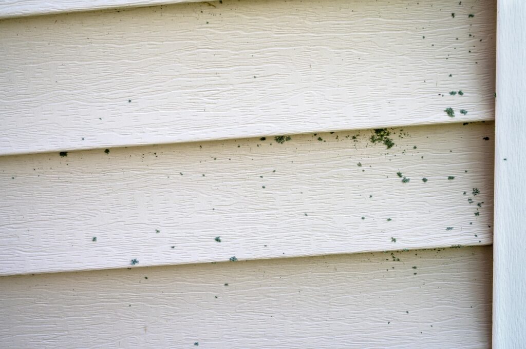 Mold and mildew on the side of house.