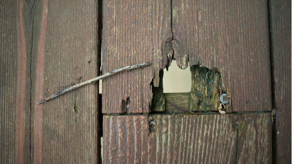 Close-up of weathered wooden boards with a hole in the center and a bent nail sticking out, highlighting signs of age and decay—a clear example of when to replace a deck, as recommended by your Twin Cities deck contractor.