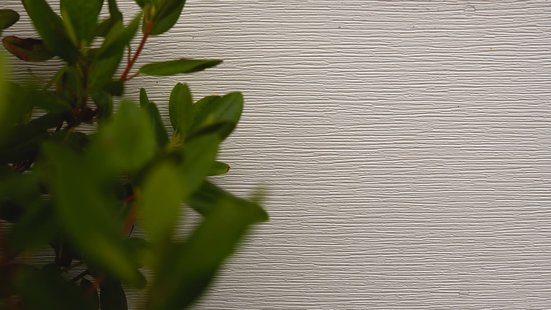 Close-up of white fibre-cement fascia board with horizontal texture detail