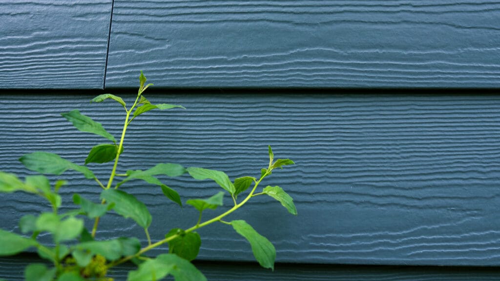 Green plant stems with leaves grow in front of a textured blue-gray horizontal wooden siding wall, reminiscent of James Hardie Mountain Sage. The background features visible wood grain patterns and clean lines.
