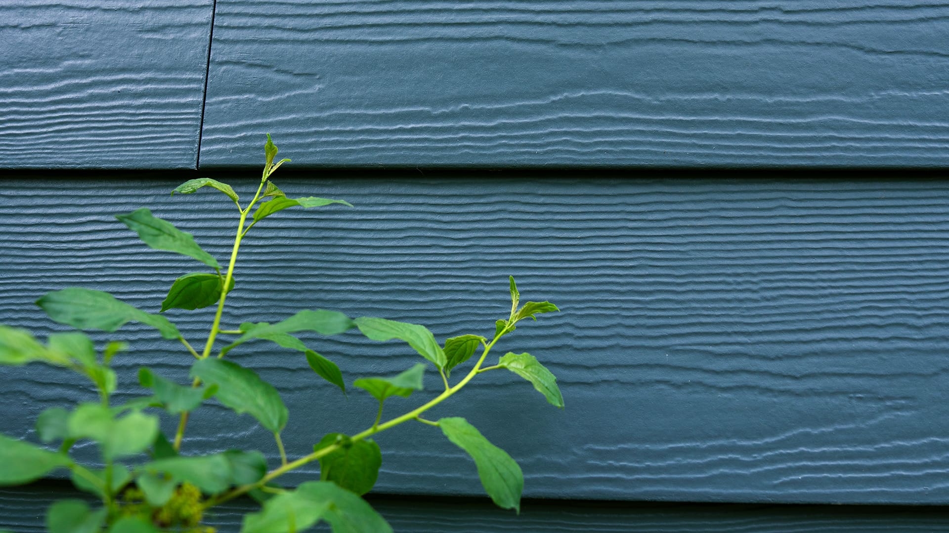 Close-up of blue-grey fibre-cement siding panels showing wood-grain texture and horizontal grain detail