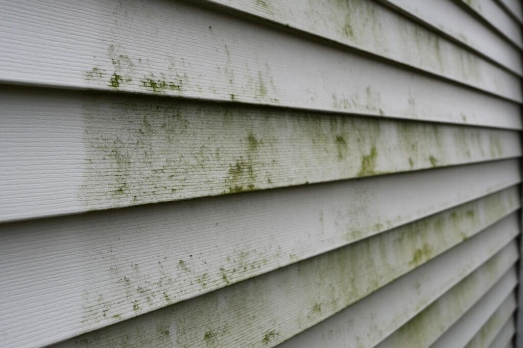 Close-up of white vinyl siding on a house, showing patches of green mold or mildew growing on the surface. The siding panels run horizontally across the image, illustrating a classic example of lap siding vs board and batten styles often seen in house siding design.